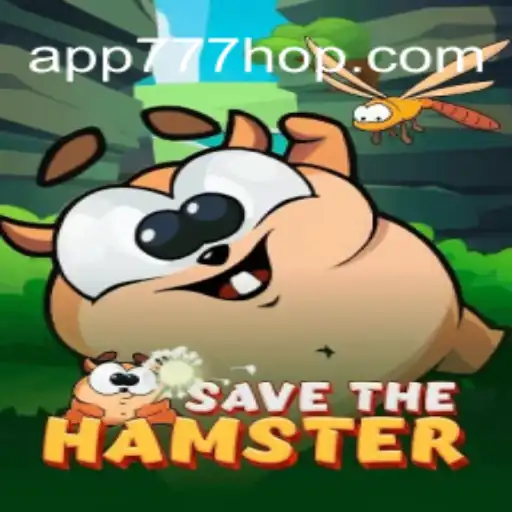 Explore Every Detail of the Exciting Game SavetheHamster